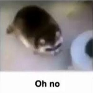 Meet your Posher, Lucy